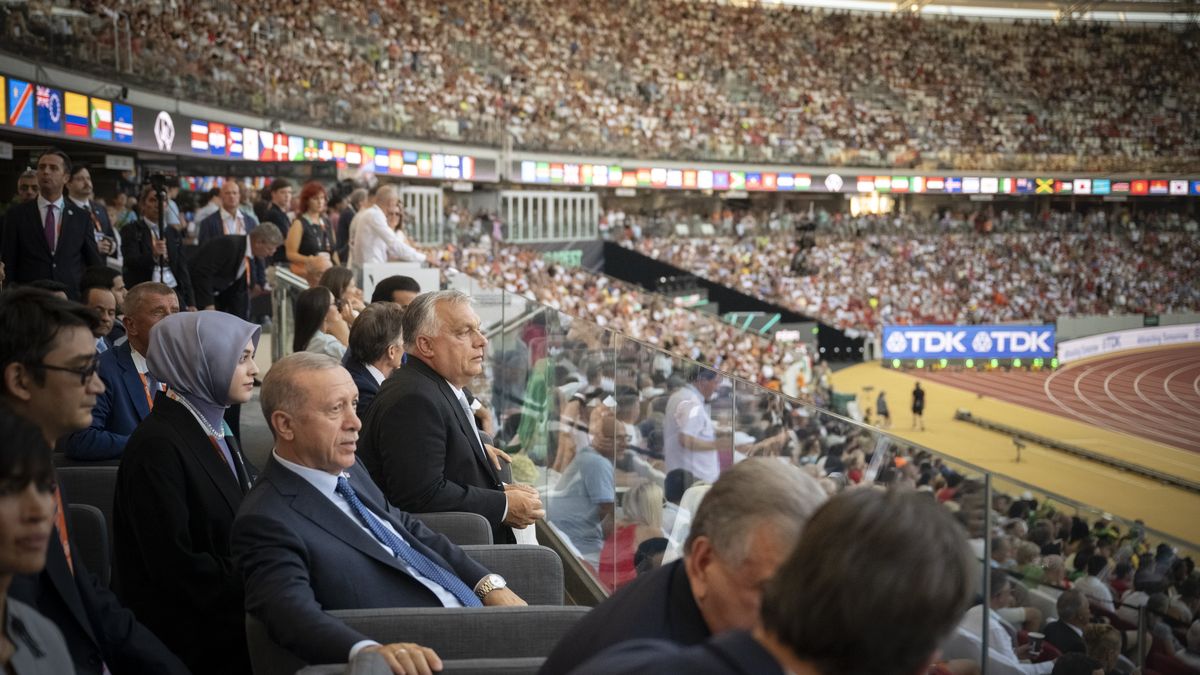 Maďar Erdoganovi v Budapešti ukázal prostředníčky, ochranka se s ním nemazlila